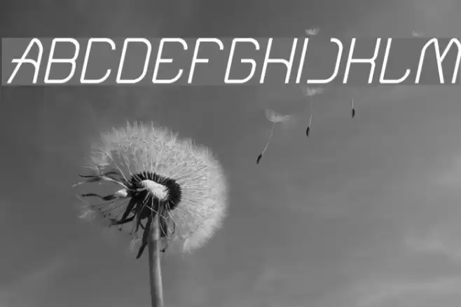 Electro Static Rain-Light Italic Font examples