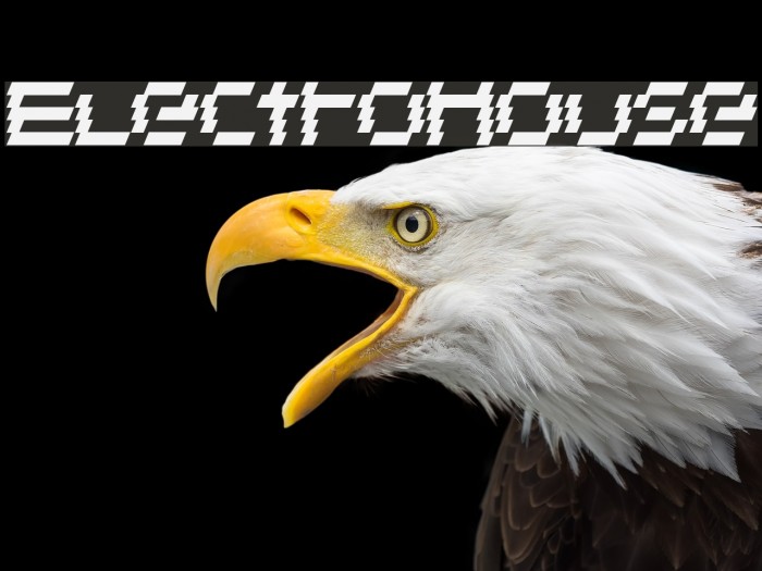 ElectroHouse Schriftart examples