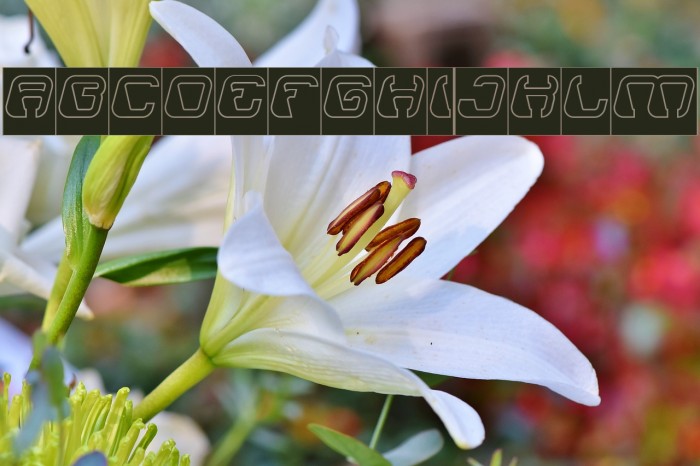 ElectroMagnetHollowInverse Example 2