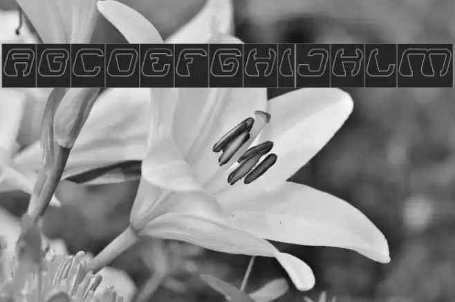 ElectroMagnetHollowInverse Font examples