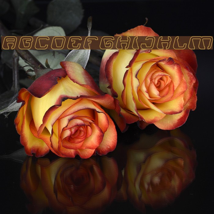 ElectroMagnetHollow Example 2