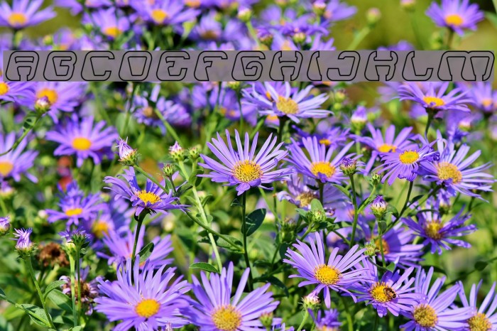 ElectroMagnetHollow Example 3