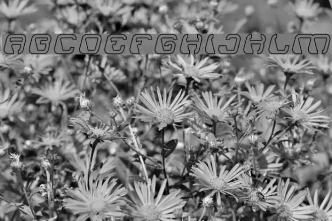 ElectroMagnetHollow Font examples