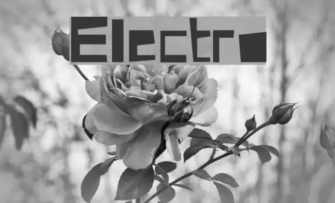 Electro Font examples