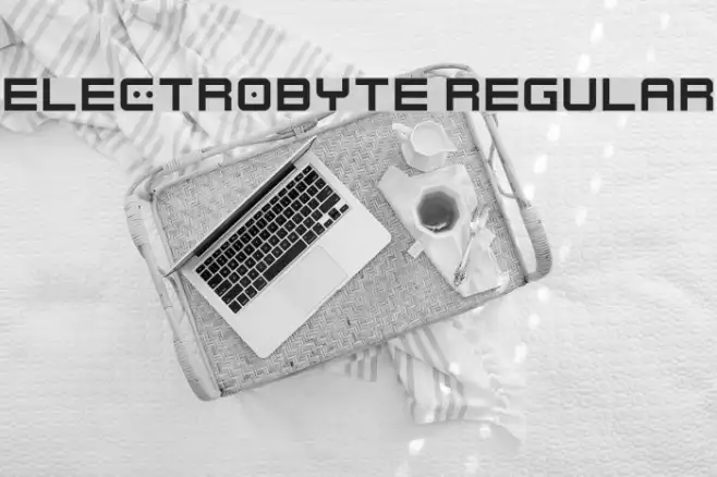 Electrobyte Regular Example 3