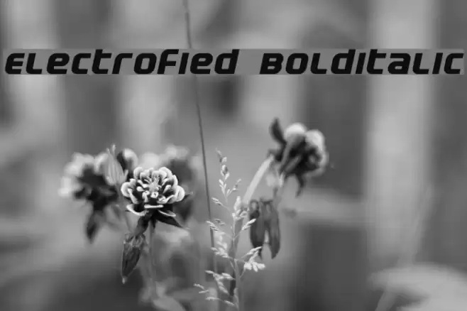 Electrofied BoldItalic Font examples