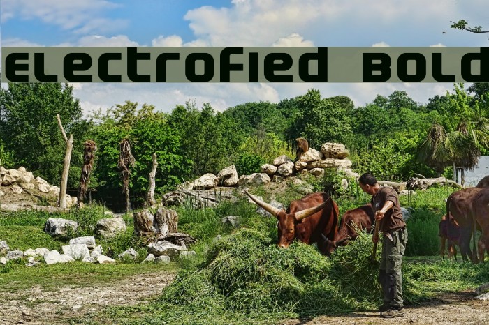 Electrofied Bold Font examples