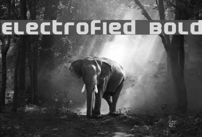Electrofied Bold Font examples
