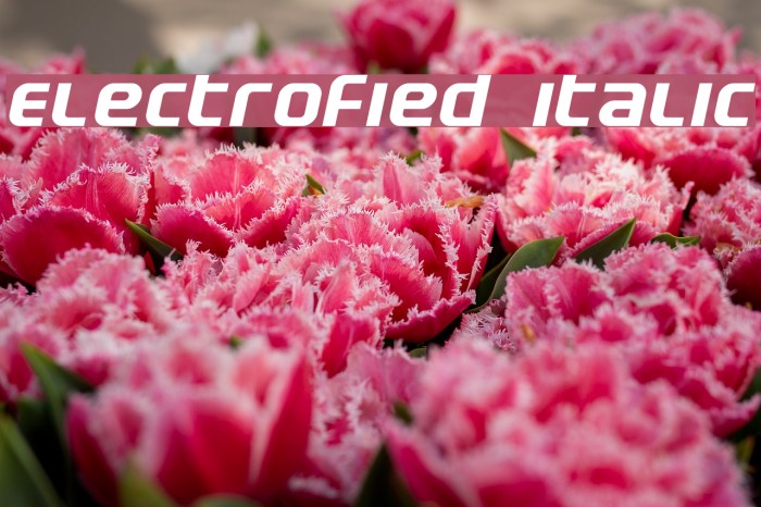 Electrofied Italic Schriftart examples