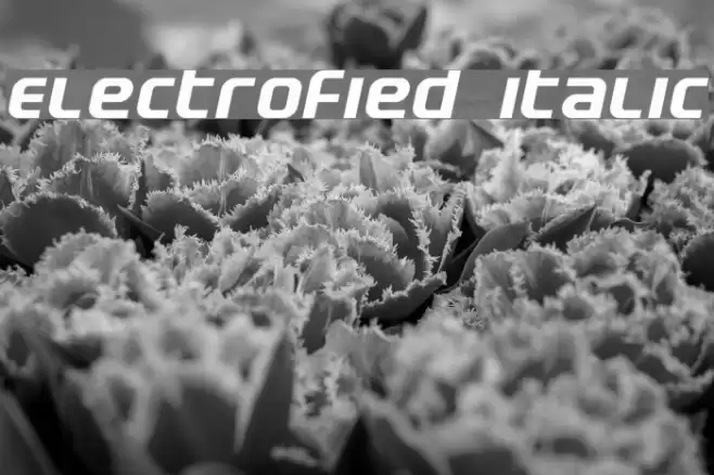 Electrofied Italic Шрифта examples