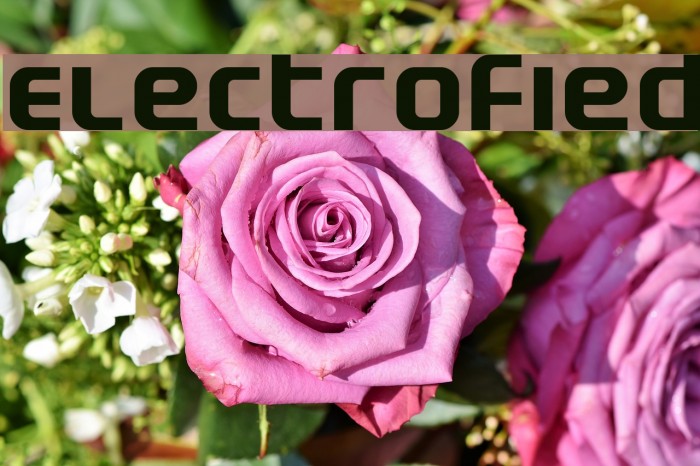 Electrofied Polices examples