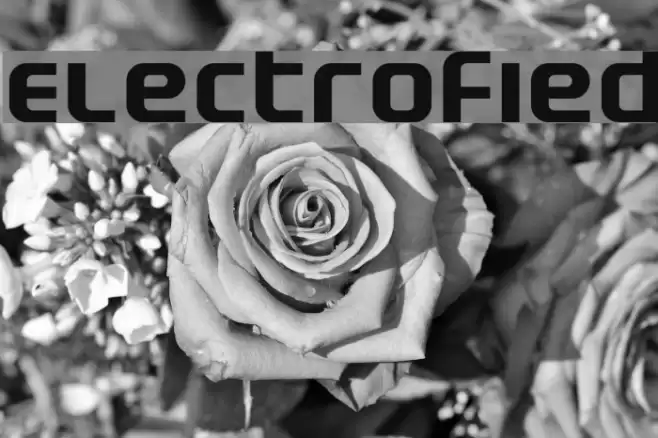 Electrofied Polices examples