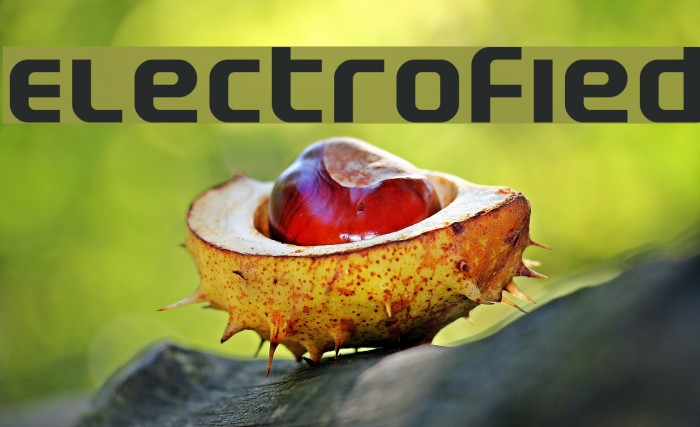 Electrofied Polices examples