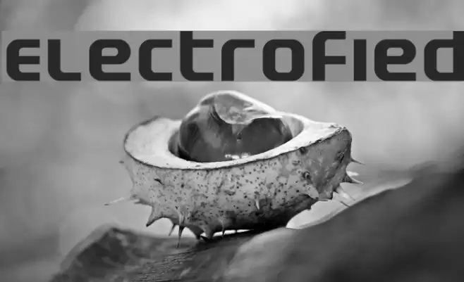 Electrofied Polices examples