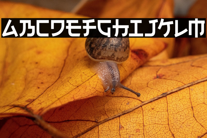 Electroharmonix-Regular Example 2