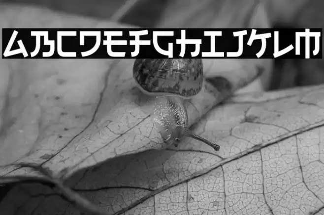 Electroharmonix-Regular Font examples