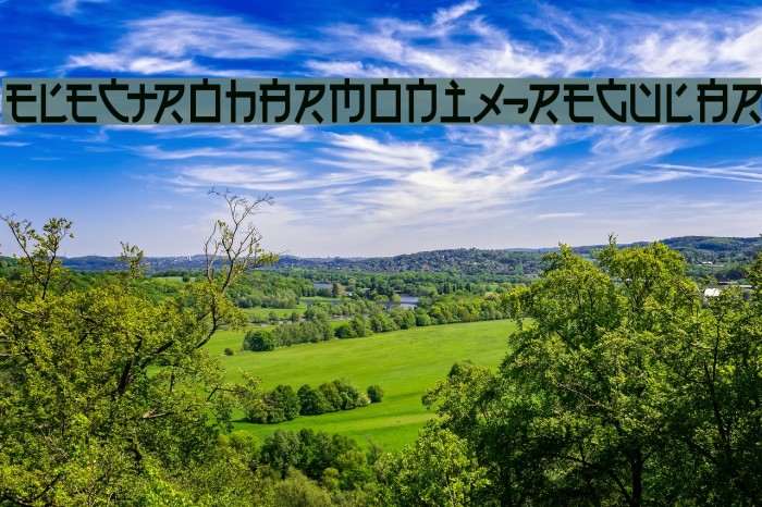 Electroharmonix-Regular Font examples