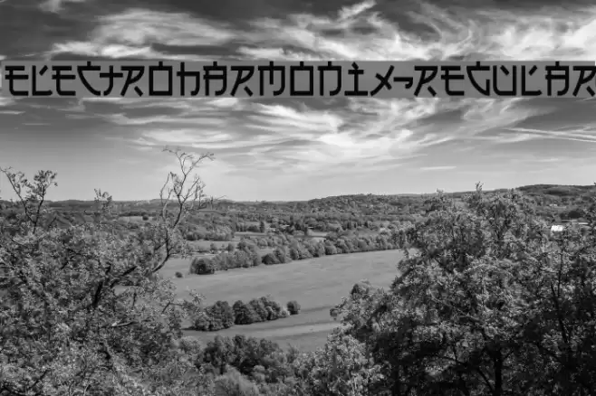 Electroharmonix-Regular Font examples