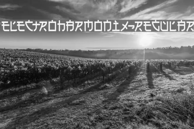 Electroharmonix-Regular Font examples