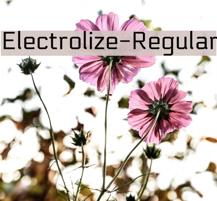 Electrolize-Regular Font examples