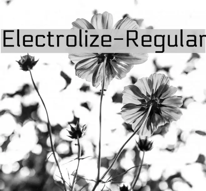 Electrolize-Regular Example 1