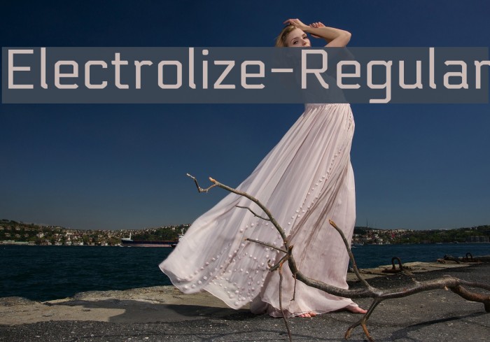 Electrolize-Regular Font examples