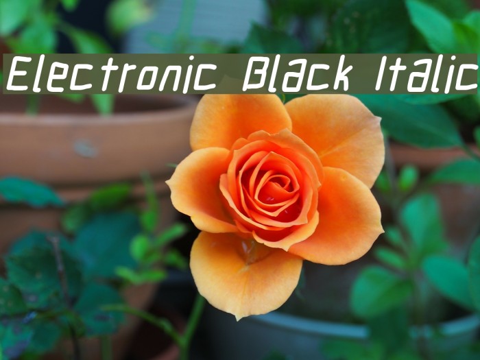 Electronic Black Italic Font examples