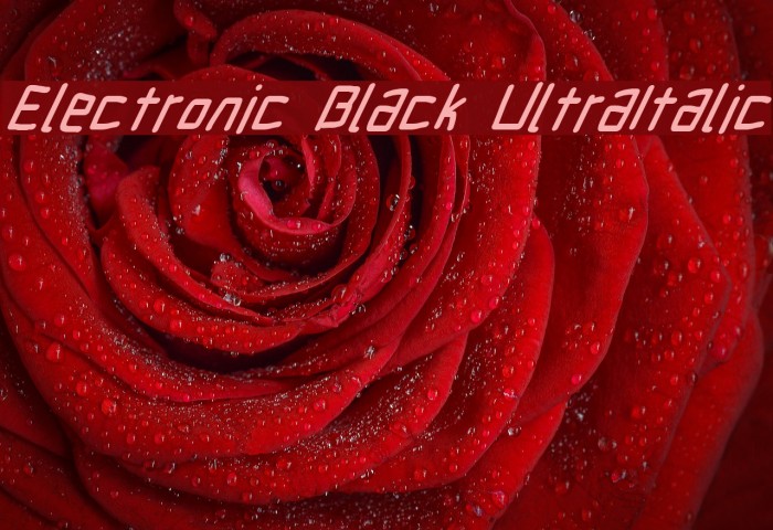 Electronic Black UltraItalic Example 1