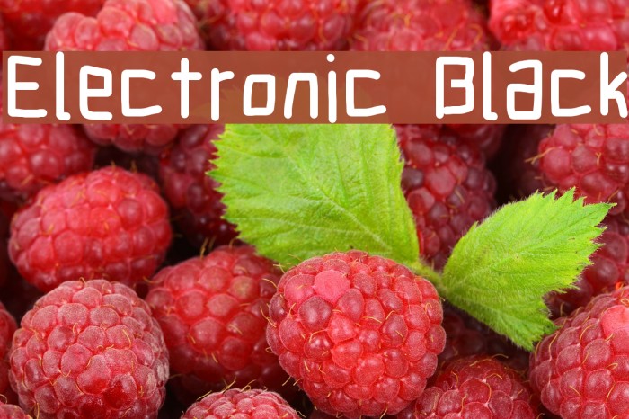 Electronic Black Font examples