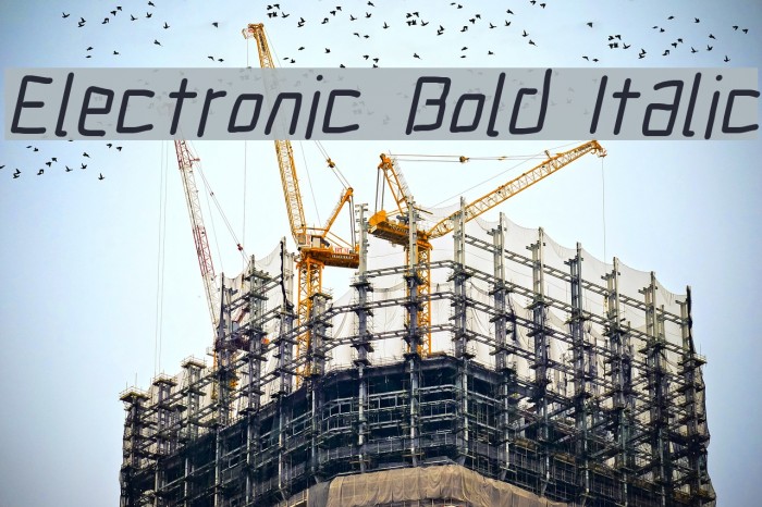 Electronic Bold Italic Font examples