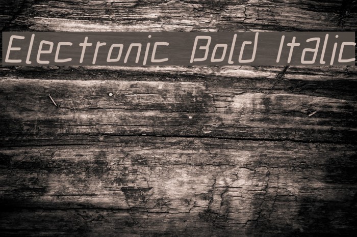 Electronic Bold Italic Font examples