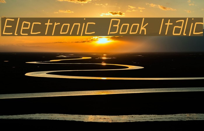 Electronic Book Italic Font examples
