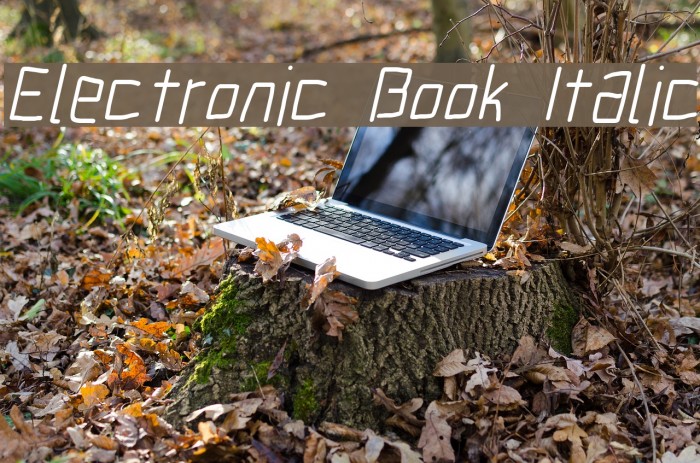 Electronic Book Italic Font examples
