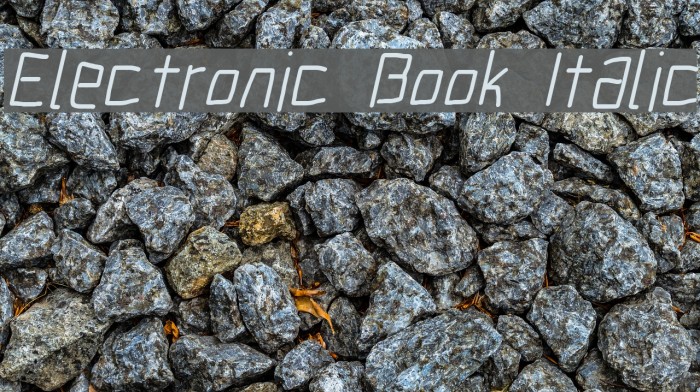 Electronic Book Italic Font examples
