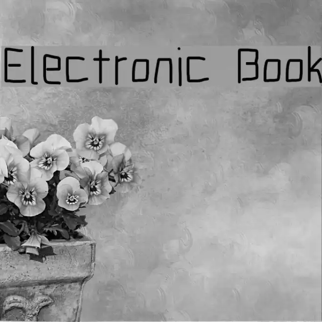 Electronic Book Example 1