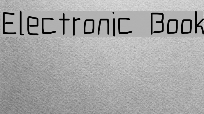 Electronic Book Font examples