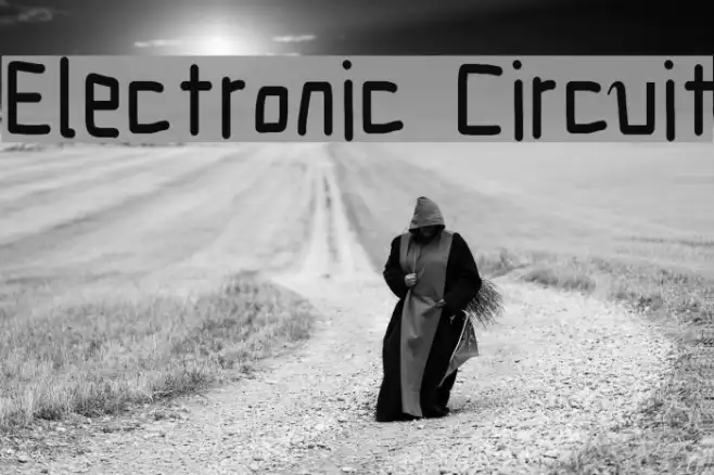 Electronic Circuit Example 1