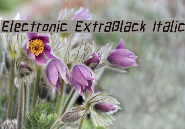 Electronic ExtraBlack Italic Шрифта examples
