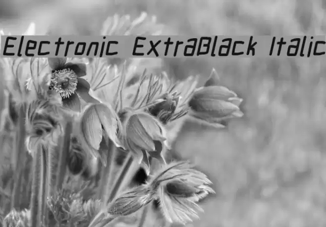 Electronic ExtraBlack Italic Font examples