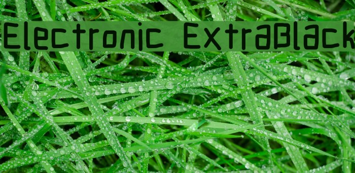 Electronic ExtraBlack Font examples