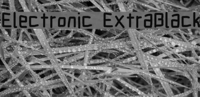 Electronic ExtraBlack Example 3
