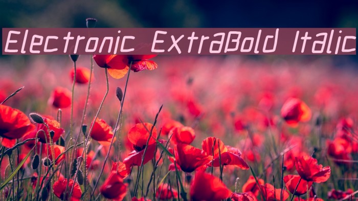Electronic ExtraBold Italic Example 3