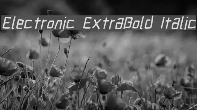 Electronic ExtraBold Italic Font examples