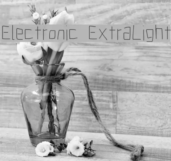 Electronic ExtraLight Example 2