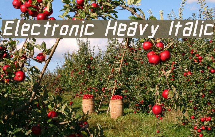 Electronic Heavy Italic Example 2