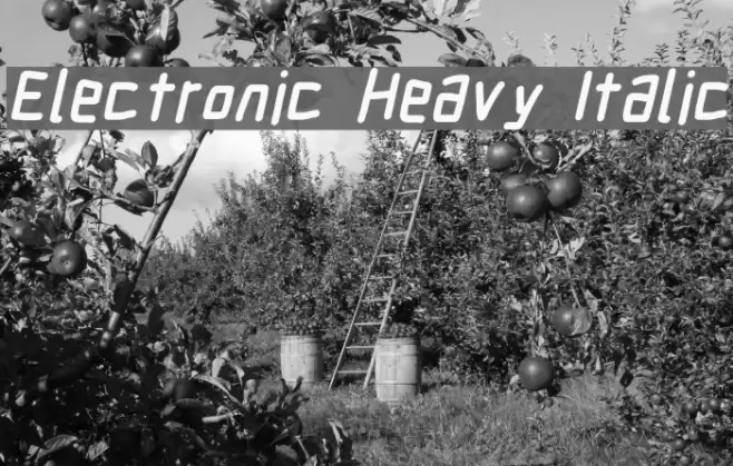 Electronic Heavy Italic Font examples