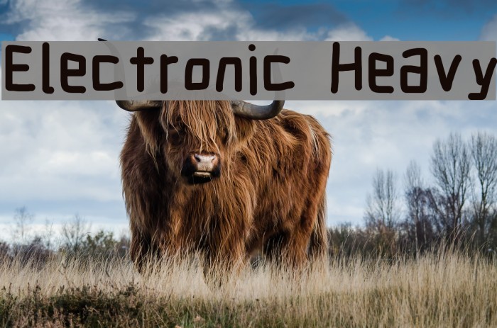 Electronic Heavy Font examples