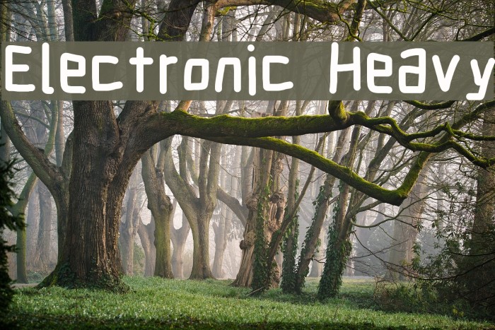 Electronic Heavy Font examples