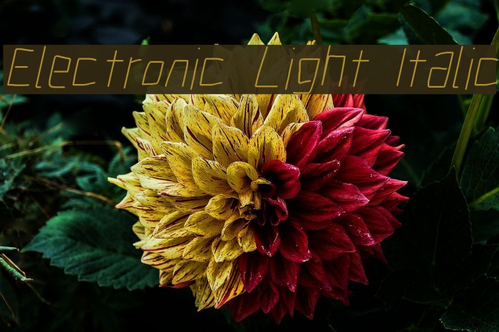 Electronic Light Italic Font examples
