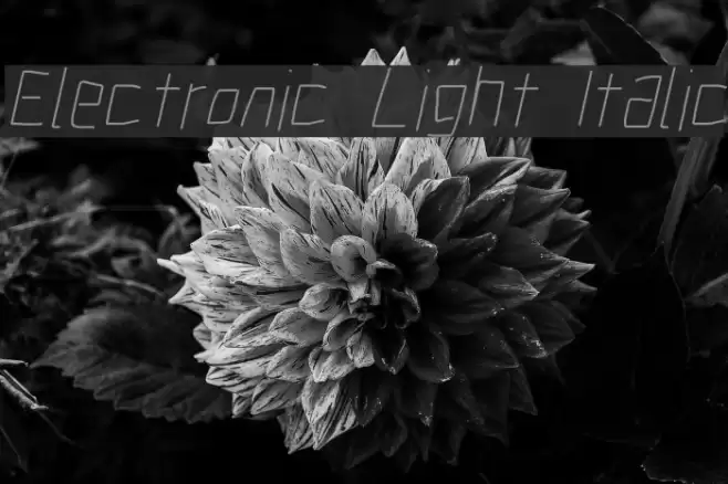 Electronic Light Italic  examples